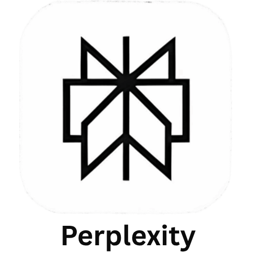 Perplexity